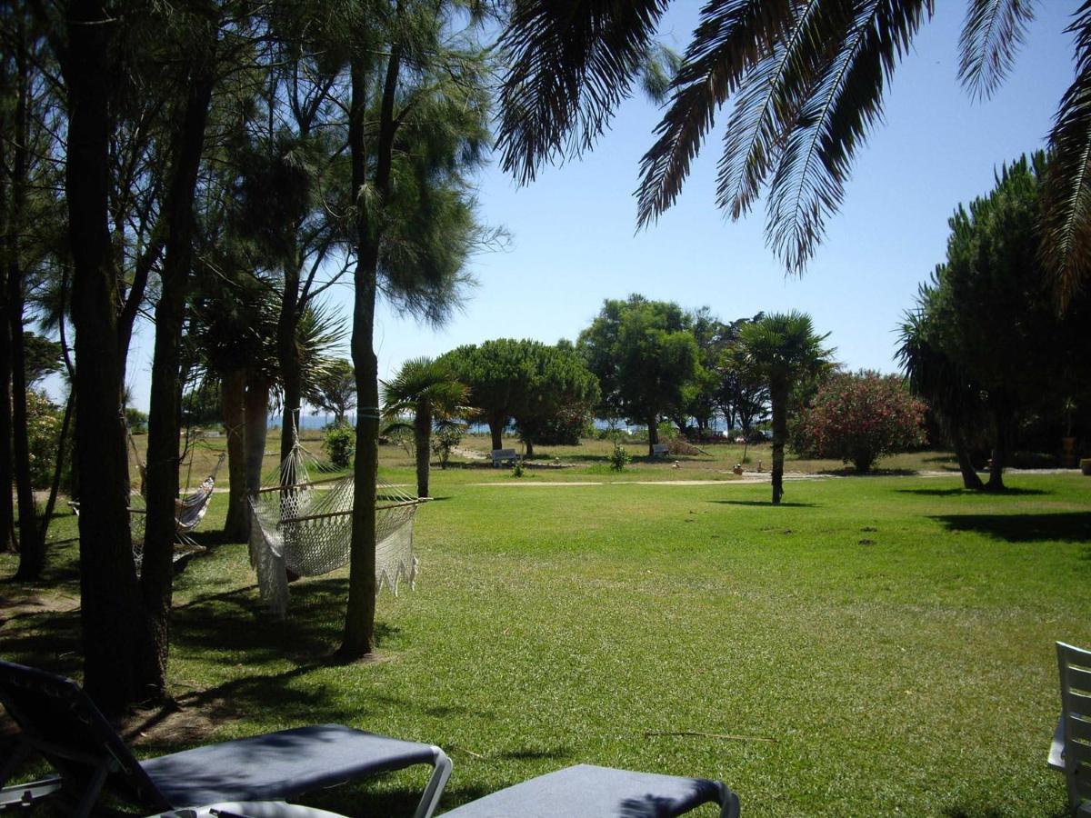 Villa Malyma Beach Front 10,000M2 Botanic Garden サオラ エクステリア 写真