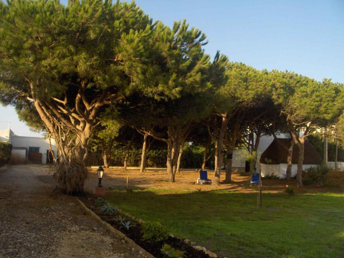 Villa Malyma Beach Front 10,000M2 Botanic Garden サオラ エクステリア 写真