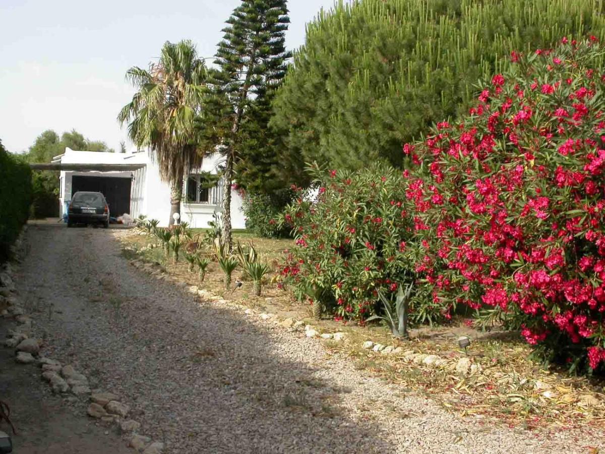 Villa Malyma Beach Front 10,000M2 Botanic Garden サオラ エクステリア 写真