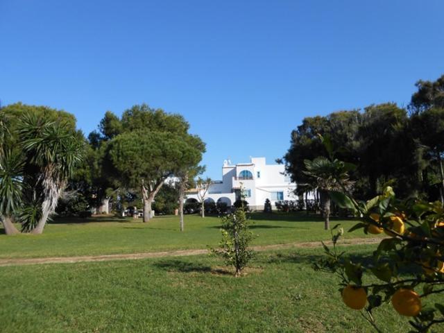 Villa Malyma Beach Front 10,000M2 Botanic Garden サオラ エクステリア 写真